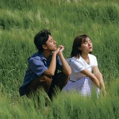 爱意深藏,隐秘情感的秘密花园 第2张 爱意深藏,隐秘情感的秘密花园 第2张