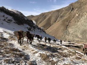 云杉油、白银与驮队,白银驮队的历史足迹