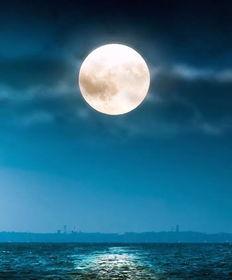 谁说妈妈像月亮,温暖与光辉的守护者  第2张