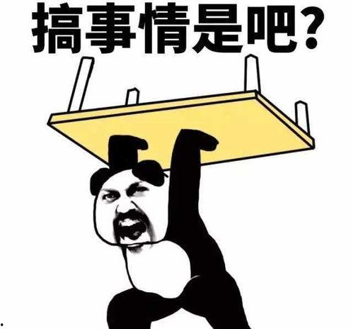 我的系统好上头,探索系统之巅的极致魅力 第2张 我的系统好上头,探索系统之巅的极致魅力 第2张