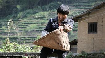 再次来寻我,再次来寻的温馨篇章 第3张 再次来寻我,再次来寻的温馨篇章 第3张