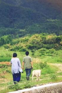 靠山吃山重回80后我苟在山村,80后逆境求生,靠山吃山谱写新篇章 第3张 靠山吃山重回80后我苟在山村,80后逆境求生,靠山吃山谱写新篇章 第3张