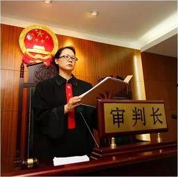 法官的荣耀,司法正义的守护者 第3张 法官的荣耀,司法正义的守护者 第3张