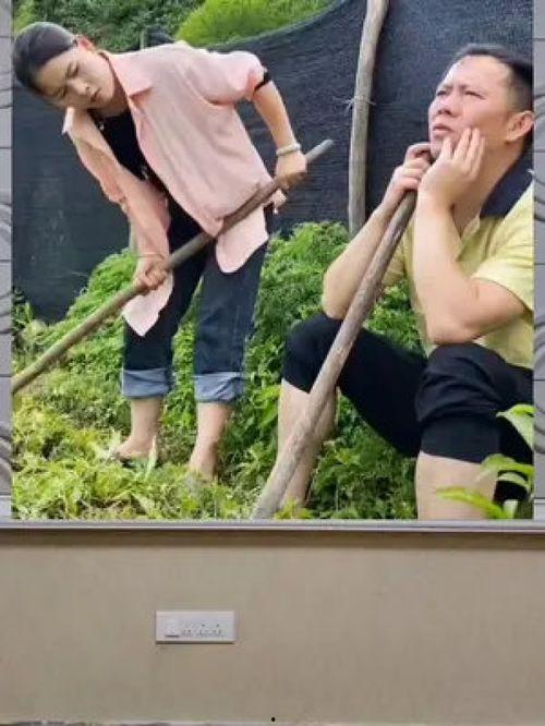 娱乐八卦是吃瓜群众